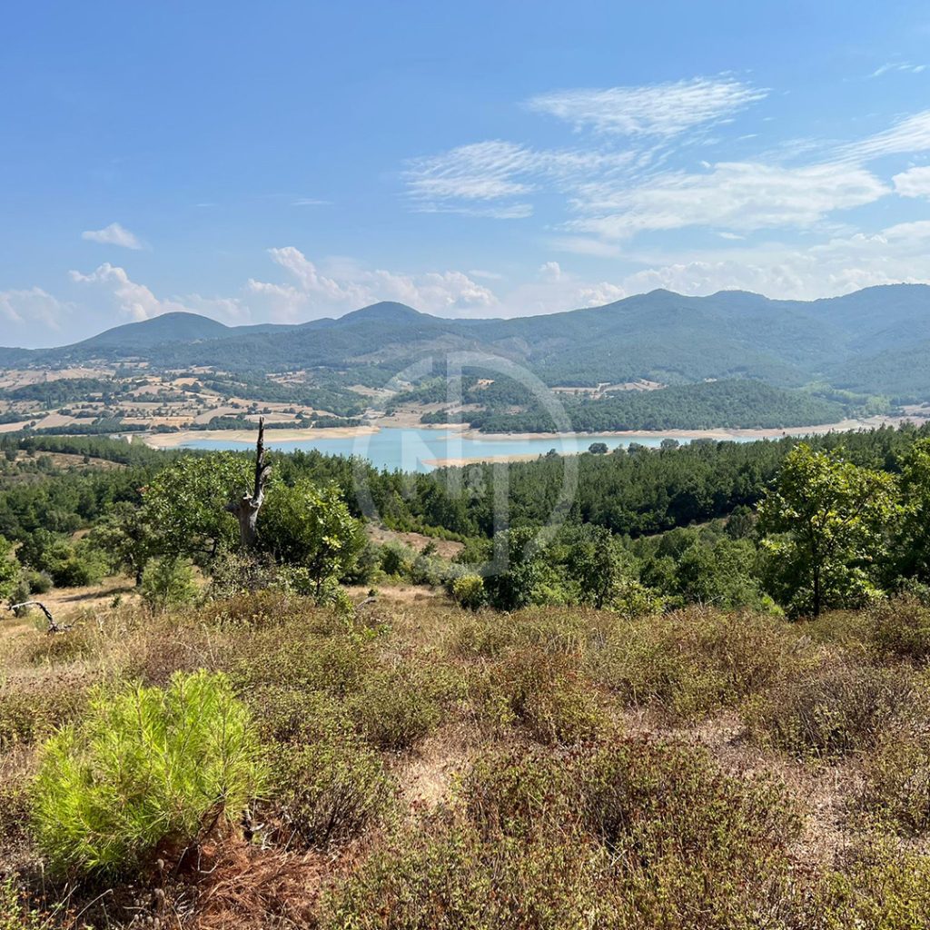 Çanakkale Lapseki Nusratiye Köyü’nde Satılık Tarla